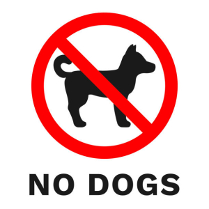 No Dogs Allowed